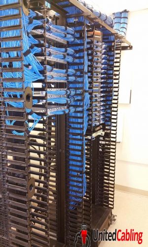 imageedit_3_3237009439 (1) (1)